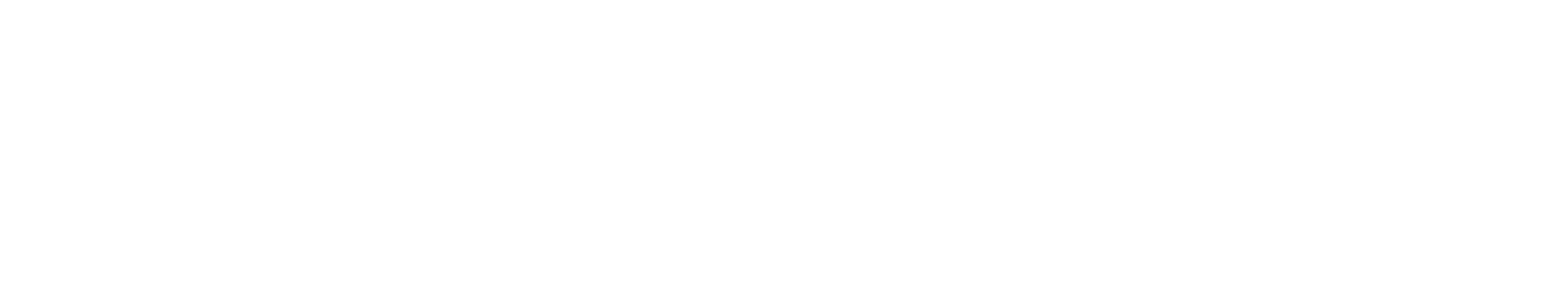 City Force Solutions